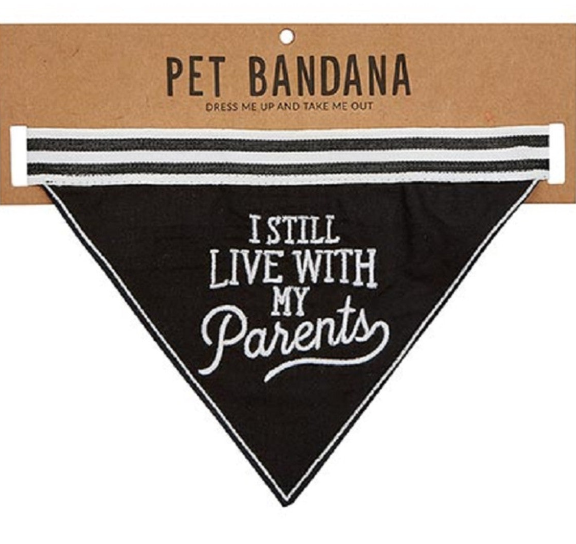 Pet Bandana Embroidered Text Gag Accessory