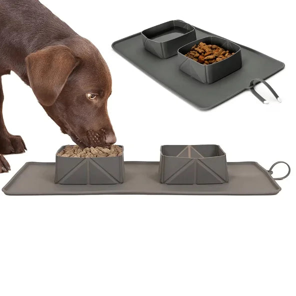Collapsible Pet Bowl For Travel Hydration